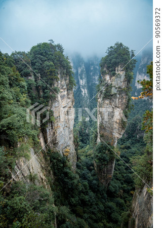 Amazing landscape of mountain and forest in the foggy at Wulingyuan, Hunan, China. Wulingyuan Scenic and Historic Interest Area which was designated a UNESCO World Heritage Site in China Amazing landscape of mountain and forest in the foggy at Wulingyuan, Hunan, China. Wulingyuan Scenic and Historic Interest Area which was designated a UNESCO World Heritage Site in China 90569372