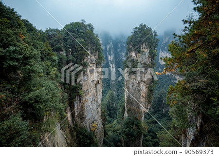 Amazing landscape of mountain and forest in the foggy at Wulingyuan, Hunan, China. Wulingyuan Scenic and Historic Interest Area which was designated a UNESCO World Heritage Site in China 90569373