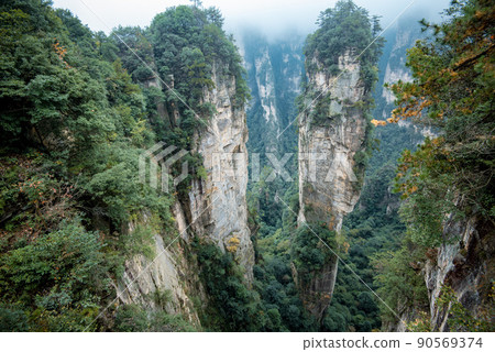 Amazing landscape of mountain and forest in the foggy at Wulingyuan, Hunan, China. Wulingyuan Scenic and Historic Interest Area which was designated a UNESCO World Heritage Site in China Amazing landscape of mountain and forest in the foggy at Wulingyuan, Hunan, China. Wulingyuan Scenic and Historic Interest Area which was designated a UNESCO World Heritage Site in China 90569374