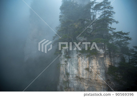 Amazing landscape of mountain and forest in the foggy at Wulingyuan, Hunan, China. Wulingyuan Scenic and Historic Interest Area which was designated a UNESCO World Heritage Site in China Amazing landscape of mountain and forest in the foggy at Wulingyuan, Hunan, China. Wulingyuan Scenic and Historic Interest Area which was designated a UNESCO World Heritage Site in China 90569396