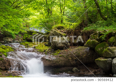 Beautiful fresh green and waterfall scenery with beautiful early summer blue autumn leaves flowing in the clear stream 90569412