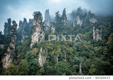 Amazing landscape of mountain and forest in the foggy at Wulingyuan, Hunan, China. Wulingyuan Scenic and Historic Interest Area which was designated a UNESCO World Heritage Site in China 90569435