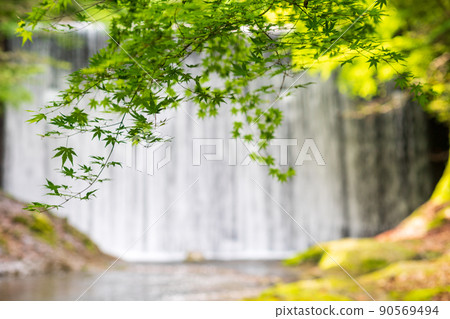 美麗的新鮮綠色和瀑佈景色，美麗的初夏藍色秋葉在清澈的溪流中流動 90569494