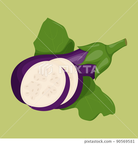 Whole eggplant isolated on background. Flat vector illustration 90569581