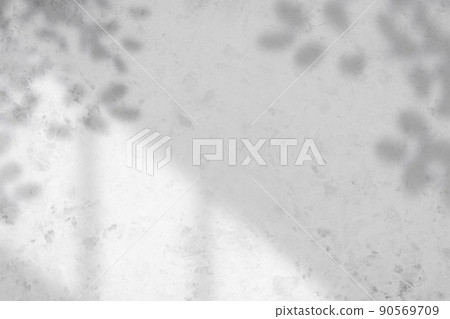 White wall background of light shining through the windowsill and shadows of plants White wall background of light shining through the windowsill and shadows of plants 90569709