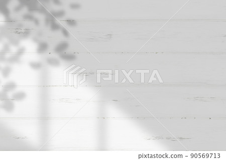 White wall background of light shining through the windowsill and shadows of plants 90569713