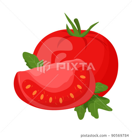 Whole tomato isolated on white background. Flat vector illustration Whole tomato isolated on white background. Flat vector illustration 90569784