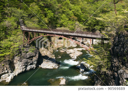 Tochigi Prefecture Ryuokyo Tochigi Prefecture Ryuokyo 90569889