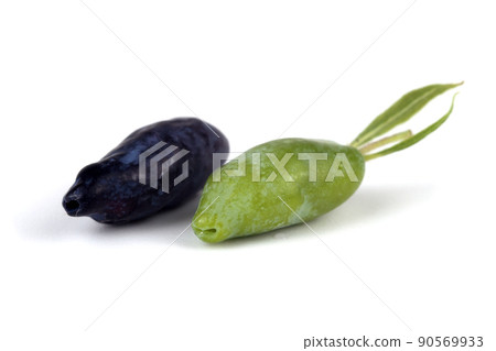 Haskap berries isolated on white 90569933