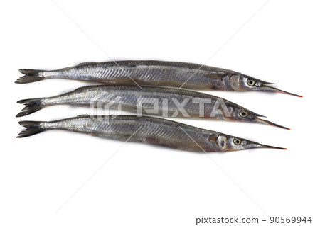 Garfish isolated on white Garfish isolated on white 90569944
