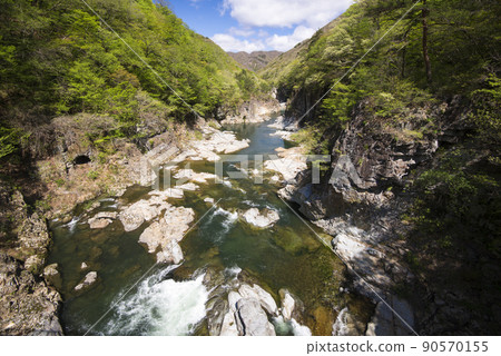 Tochigi Prefecture Ryuokyo 90570155