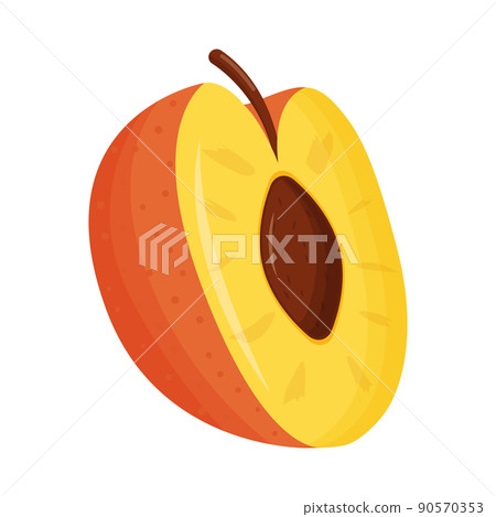 Half of orange peach on white background. Flat vector illustration 90570353