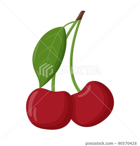 Whole red cherry with green leaf isolated on white background. Flat vector illustration 90570428
