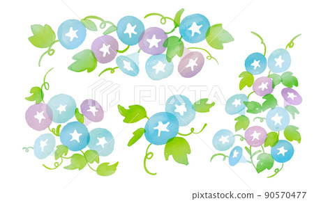 Watercolor. Asagao frame with a watercolor touch. Gradation color morning glory vector illustration. Watercolor. Asagao frame with a watercolor touch. Gradation color morning glory vector illustration. 90570477