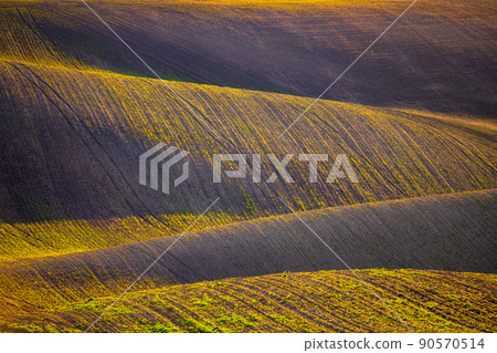 Wavy agricultural field of Moravian Tuscany Wavy agricultural field of Moravian Tuscany 90570514