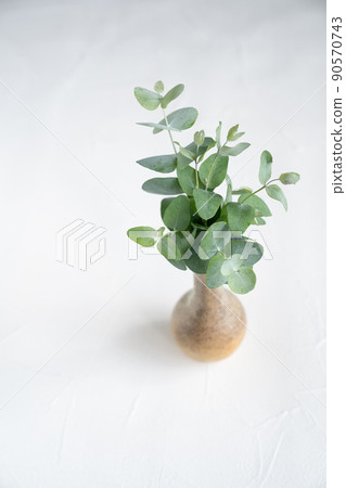Single flower vase and eucalyptus leaf 90570743