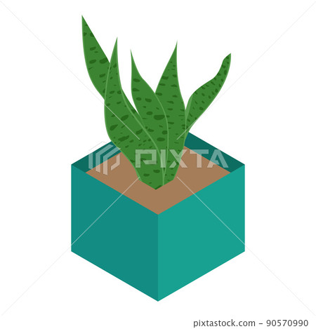 Isometric flower in pot isolated on white background. Home plant for home interior decoration Isometric flower in pot isolated on white background. Home plant for home interior decoration 90570990