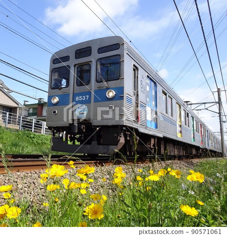 Last May of the Last Hachigo Last May of the Last Hachigo 90571061