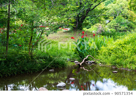 雨季盛開的美麗水景箱之宮公園 90571354