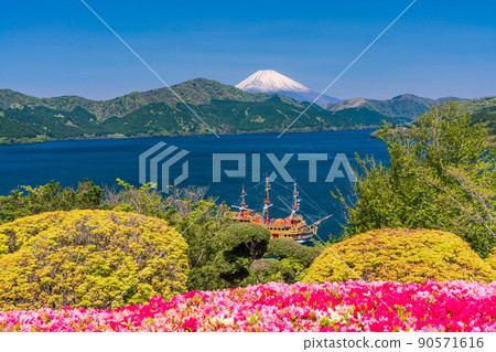 （神奈川縣）從杜鵑花盛開的箱根恩施公園看到的遊船和富士山 90571616