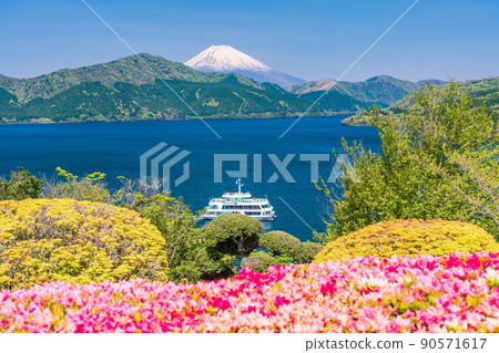 （神奈川縣）從杜鵑花盛開的箱根恩施公園看到的遊船和富士山 90571617