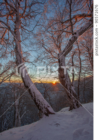 Sunset in Sabaduri forest, beautiful winter landscape Sunset in Sabaduri forest, beautiful winter landscape 90571676