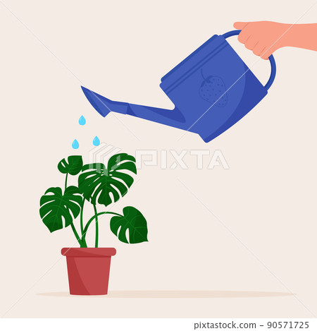 Hand holding watering can. Watering home plant in pot 90571725