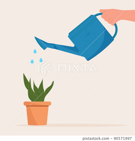 Hand holding watering can. Watering home plant in pot 90571997