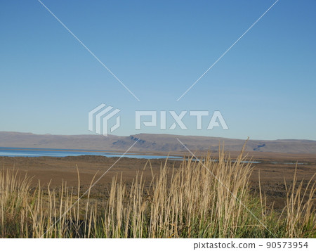 阿根廷湖⑤ 阿根廷湖⑤ 90573954