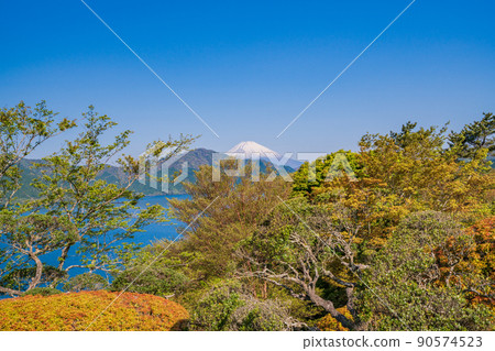 (神奈川縣)從綠意盎然的箱根恩賜公園眺望富士山 (神奈川縣)從綠意盎然的箱根恩賜公園眺望富士山 90574523