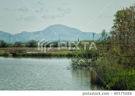 Early summer scenery with Sone Marsh, famous peaks, and Mt. Ibuki in Hikone City, Shiga Prefecture Early summer scenery with Sone Marsh, famous peaks, and Mt. Ibuki in Hikone City, Shiga Prefecture 90575088