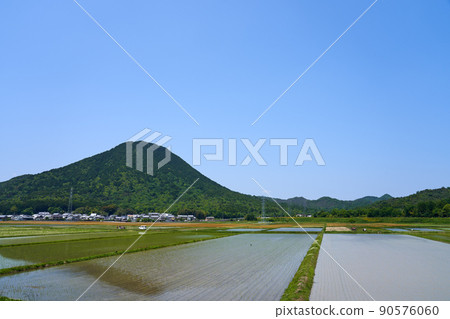 Paddy fields and Mt. Mikami during the rice planting period 90576060