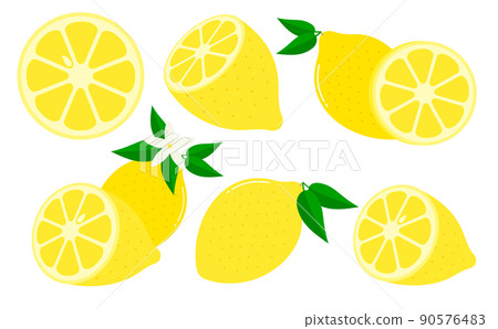 Lemon vector illustration 90576483