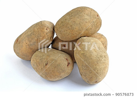 土豆(遠) 土豆(遠) 90576873