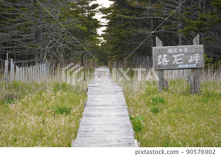 從北海道根室市的越石岬筆直延伸的木路 90576902