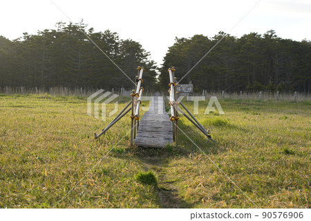 A straight wooden path, Cape Ochiishi, Hokkaido 90576906
