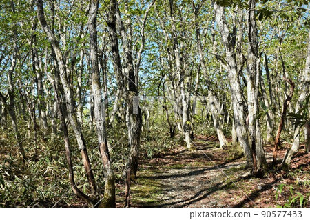 駒山展望台庭園山路那須 駒山展望台庭園山路那須 90577433