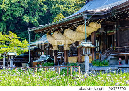 初夏宮地岳神社福岡縣福津市鳶尾花節 初夏宮地岳神社福岡縣福津市鳶尾花節 90577700