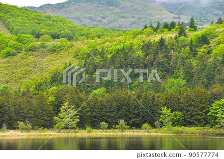 Rishiri Island Otatomari Swamp Rishiri Island Otatomari Swamp 90577774