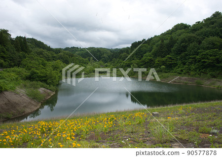 6月的大谷水壩，富山縣黑部市 90577878