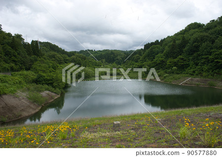 6月的大谷水壩，富山縣黑部市 90577880