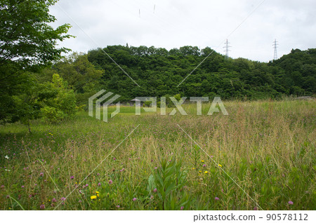 6月的大谷水壩公園,富山縣黑部市 6月的大谷水壩公園,富山縣黑部市 90578112