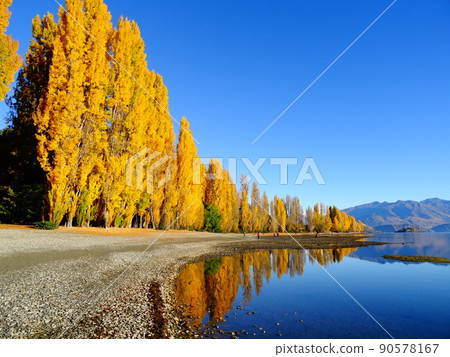 Wanaka in Autumn Wanaka in Autumn 90578167