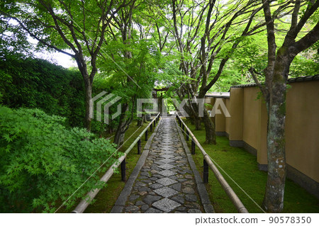 我在初夏參觀的京都市Koetsuji寺的方法很漂亮 90578350