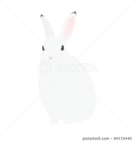 Vector illustration of white rabbit - Stock Illustration [90578440] - PIXTA