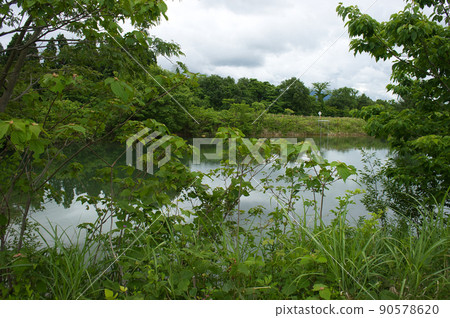 A pond in Kurobe City, Toyama Prefecture 90578620