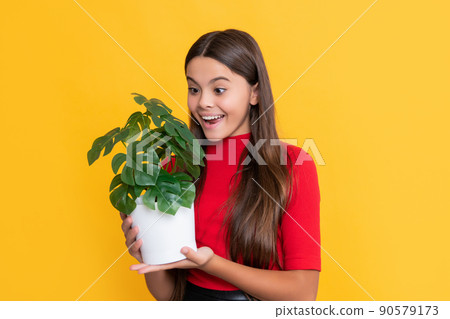 amazed child with monstera in pot on yellow background 90579173