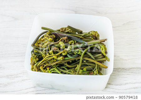 Boiled bracken in a storage container 90579418