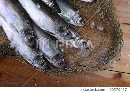Herring on net Herring on net 90579457