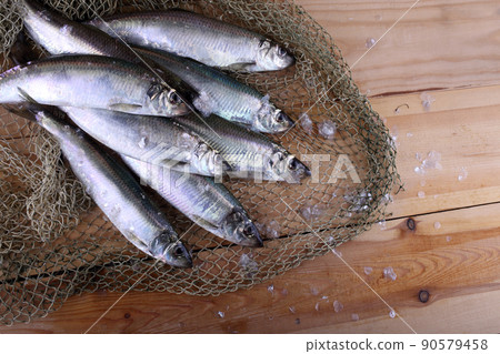 Herring on net Herring on net 90579458